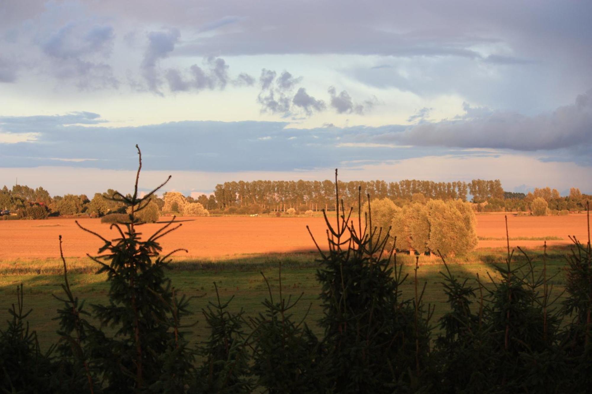 Pension Vorm Darss Hirschburg ภายนอก รูปภาพ